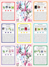 Laden Sie das Bild in den Galerie-Viewer, Sprich mit mir Orakelkarten Vol. 3 inkl. MwSt zzgl. Versand