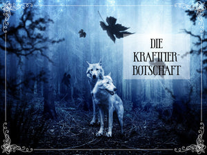Emailberatung "Die Krafttierbotschaft" inkl. MwSt