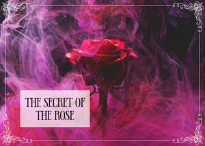 Emailberatung "The Secret of the Rose" inkl. MwSt