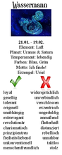 Laden Sie das Bild in den Galerie-Viewer, Energiestab &quot;Wassermann&quot; inkl. MwSt zzgl. Versand
