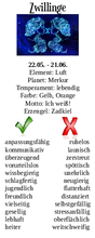 Laden Sie das Bild in den Galerie-Viewer, Energiestab &quot;Zwillinge&quot; inkl. MwSt zzgl. Versand

