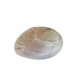 Muschelgefäß mit Perlen inkl. MwSt. zzgl. Versand