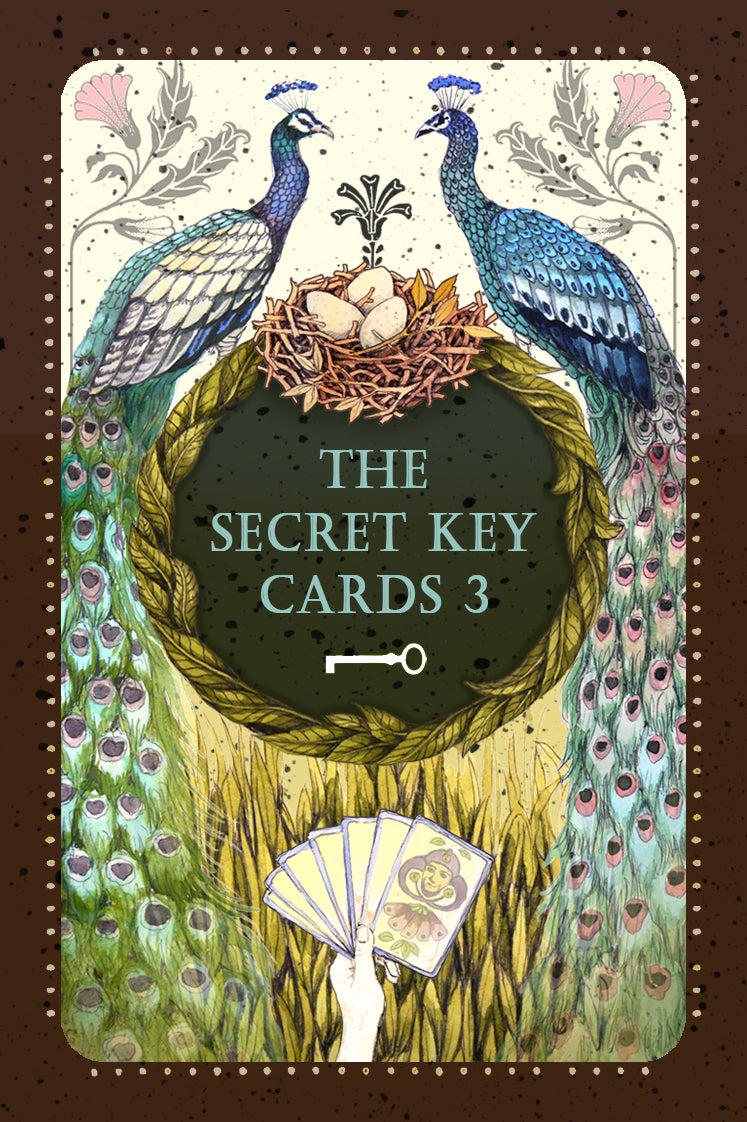 Secret Key Cards 3 inkl. MwSt zzgl. Versand
